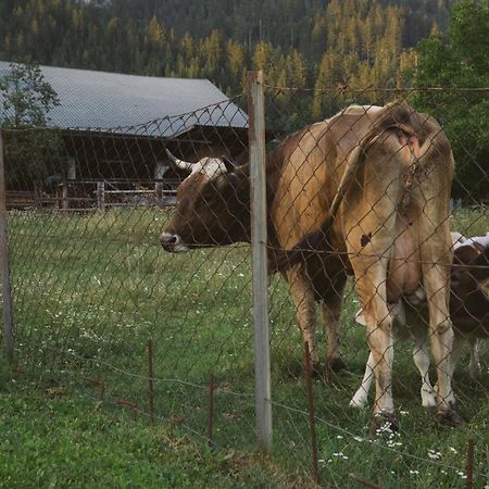 Landhaus Obervellach Hermagor-Pressegger See Zewnętrze zdjęcie
