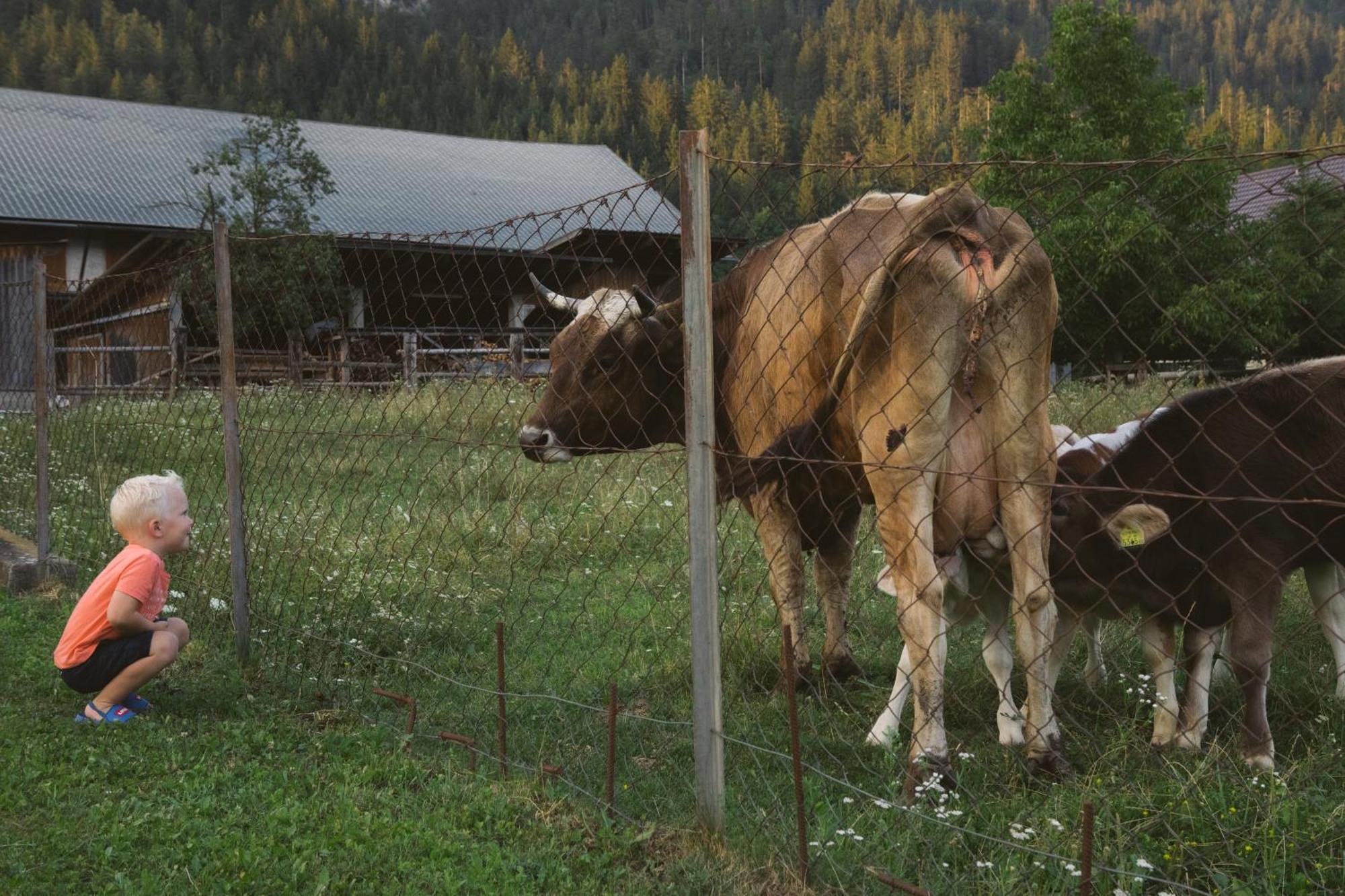 Landhaus Obervellach Hermagor-Pressegger See Zewnętrze zdjęcie